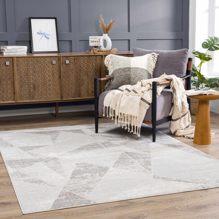 Basia Area Rug Rugs TriadCommerceInc