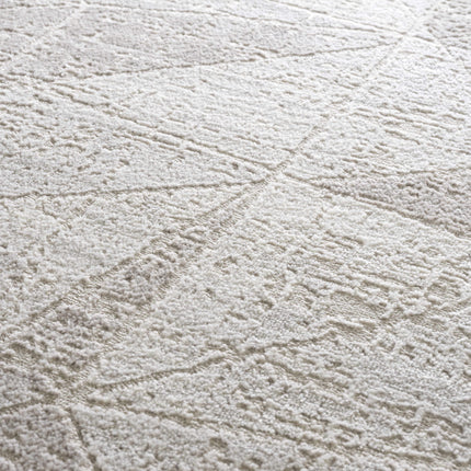 Basia Area Rug Rugs TriadCommerceInc