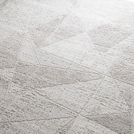 Basia Area Rug Rugs TriadCommerceInc
