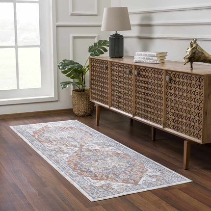 Erna Washable Area Rug - Clearance Rugs TriadCommerceInc 2'7" x 10' Runner