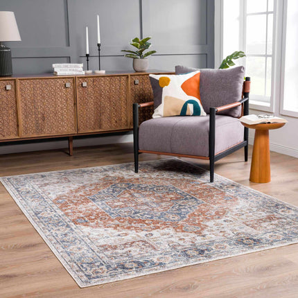 Akram Gray & Orange Washable Area Rug - Clearance Rugs TriadCommerceInc