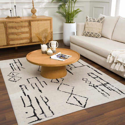 Maguyam Washable Area Rug - Clearance Rugs TriadCommerceInc