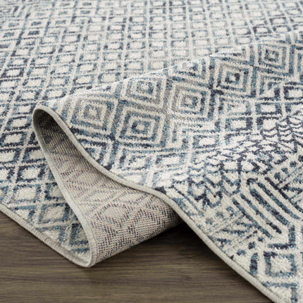 Askeaton Washable Area Rug Rugs TriadCommerceInc 6'7" x 9' Rectangle