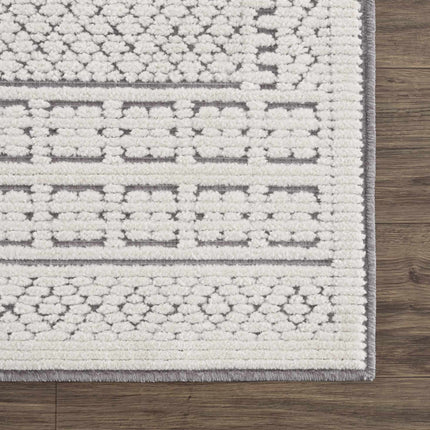 Bahar Cream & Gray Washable Area Rug - Limited Edition Rugs TriadCommerceInc
