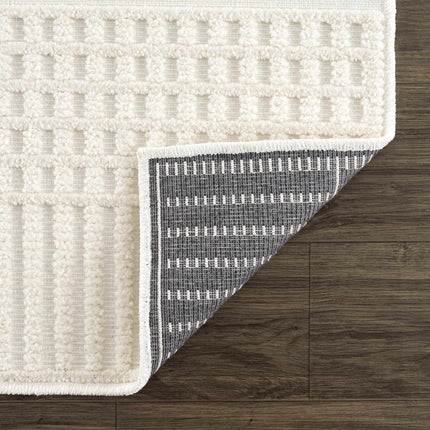 Rhun Washable Area Rug Rugs TriadCommerceInc