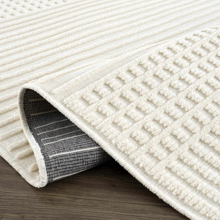 Rhun Washable Area Rug Rugs TriadCommerceInc