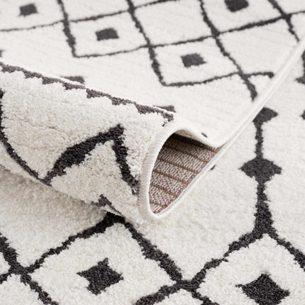 Ringwood Area Rug - Clearance Rugs TriadCommerceInc