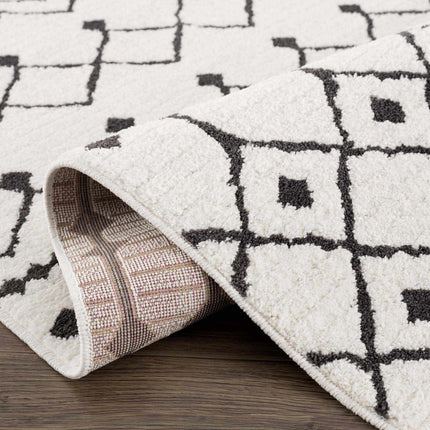 Ringwood Area Rug - Clearance Rugs TriadCommerceInc