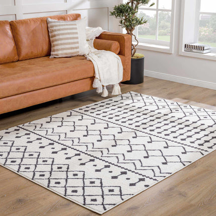 Ringwood Area Rug - Clearance Rugs TriadCommerceInc 2' x 2'11" Rectangle