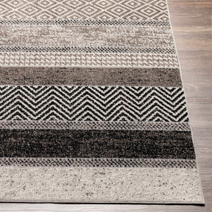 Middlestown Washable Area Rug Rugs TriadCommerceInc