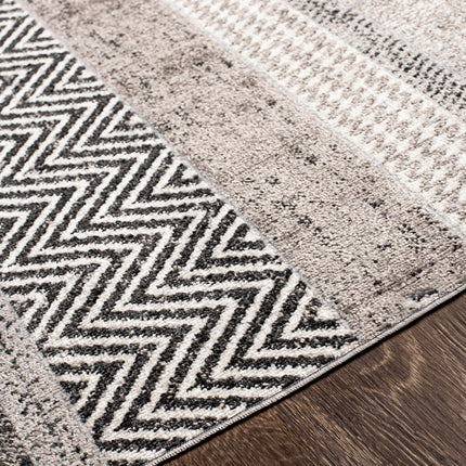 Middlestown Washable Area Rug Rugs TriadCommerceInc