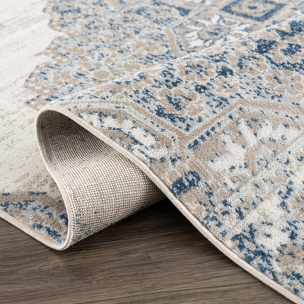 Amir Area Rug Rugs TriadCommerceInc