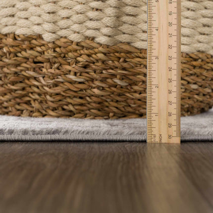 Eddie Area Rug Rugs TriadCommerceInc