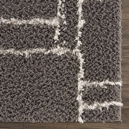 Andia Charcoal Area Rug - Clearance Rugs TriadCommerceInc