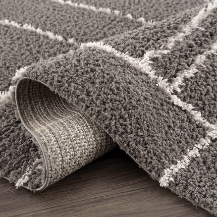 Andia Charcoal Area Rug - Clearance Rugs TriadCommerceInc