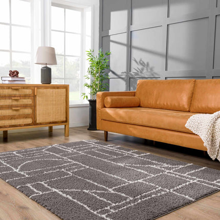 Andia Charcoal Area Rug - Clearance Rugs TriadCommerceInc