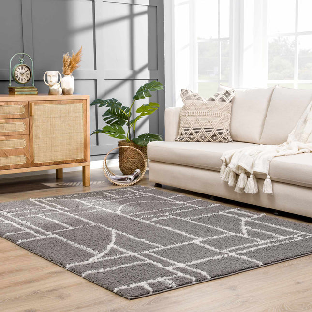 Andia Charcoal Area Rug - Clearance Rugs TriadCommerceInc