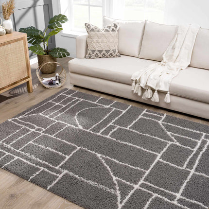 Andia Charcoal Area Rug - Clearance Rugs TriadCommerceInc
