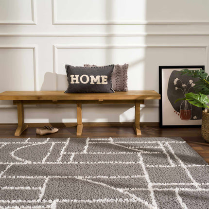 Andia Charcoal Area Rug - Clearance Rugs TriadCommerceInc