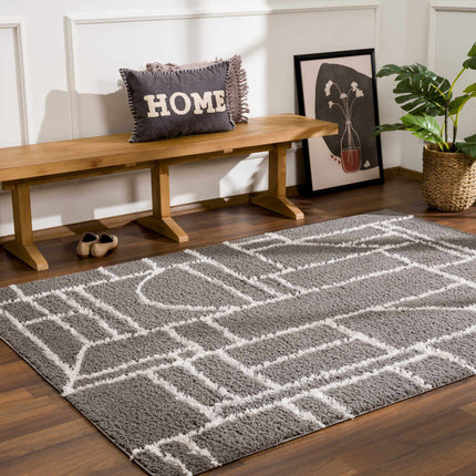 Andia Charcoal Area Rug - Clearance Rugs TriadCommerceInc