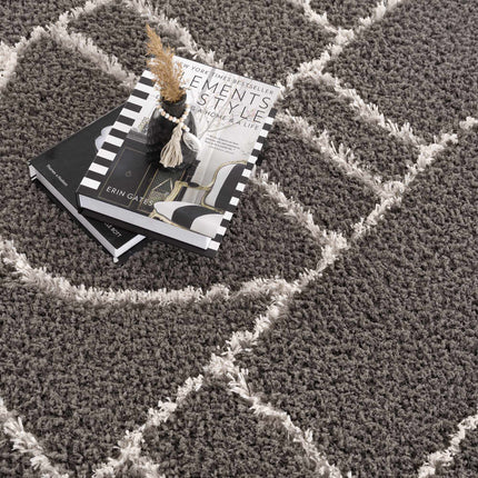 Andia Charcoal Area Rug - Clearance Rugs TriadCommerceInc