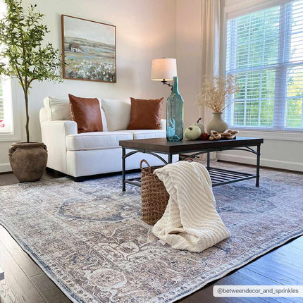 Mignon Washable Area Rug Rugs TriadCommerceInc