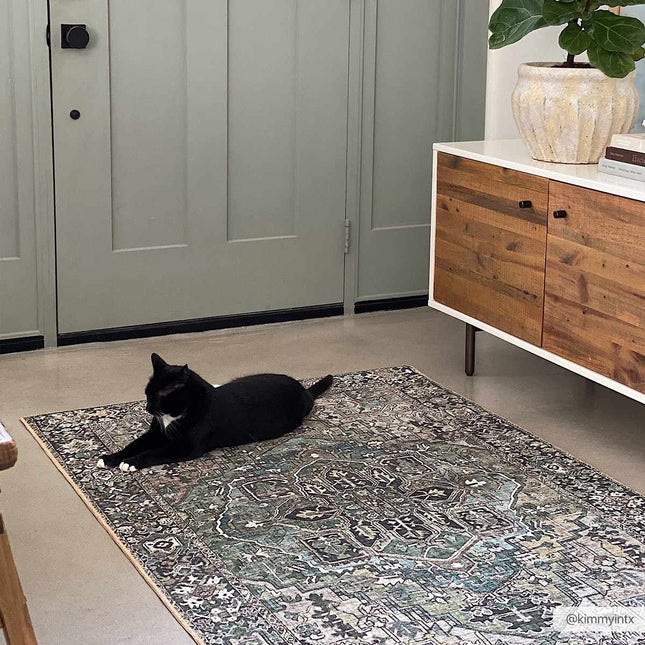 Neyland Sage Green Area Rug Rugs TriadCommerceInc