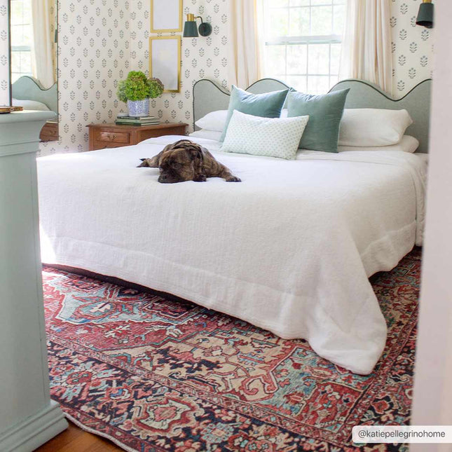 Neyland Washable Area Rug Rugs TriadCommerceInc