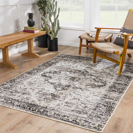 Park Area Rug - Clearance Rugs TriadCommerceInc