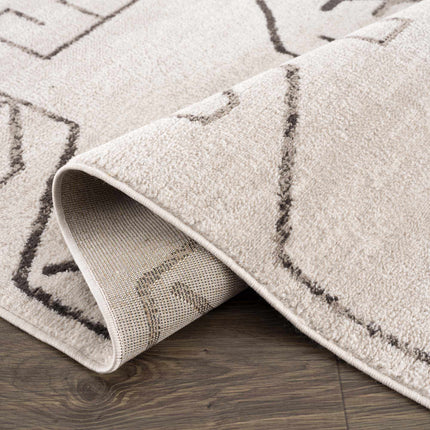 Azzan Cream & Charcoal Area Rug - Clearance Rugs TriadCommerceInc