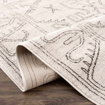 Divya Cream & Charcoal Area Rug - Clearance Rugs TriadCommerceInc