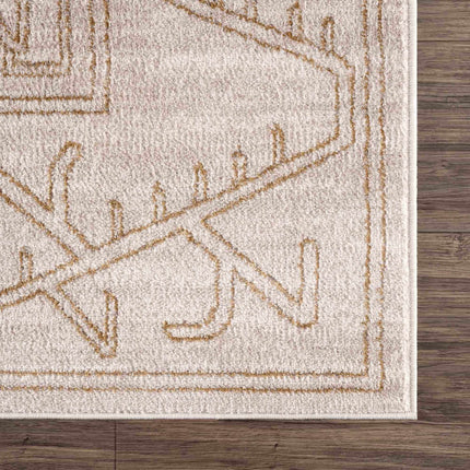 Divya Cream & Gold Area Rug - Clearance Rugs TriadCommerceInc