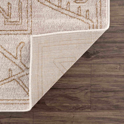 Divya Cream & Gold Area Rug - Clearance Rugs TriadCommerceInc