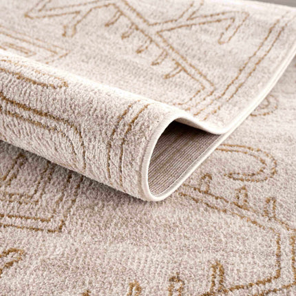 Divya Cream & Gold Area Rug - Clearance Rugs TriadCommerceInc