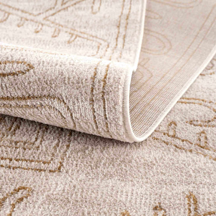 Divya Cream & Gold Area Rug - Clearance Rugs TriadCommerceInc