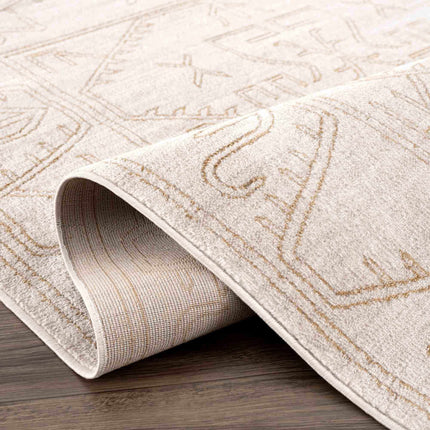 Divya Cream & Gold Area Rug - Clearance Rugs TriadCommerceInc