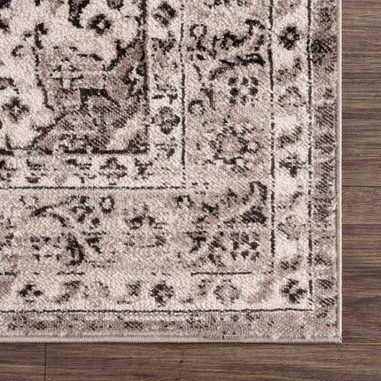 Albie Beige Area Rug - Clearance Rugs TriadCommerceInc