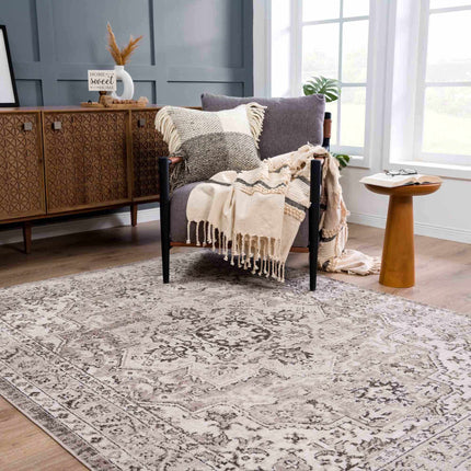 Albie Beige Area Rug - Clearance Rugs TriadCommerceInc