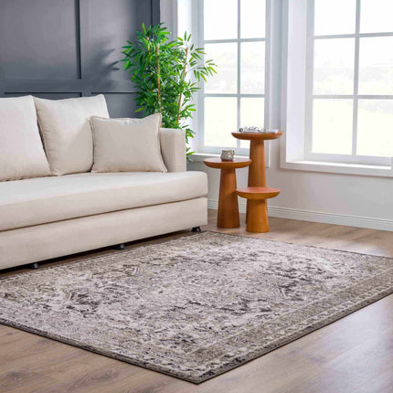 Albie Charcoal & Beige Area Rug - Clearance Rugs TriadCommerceInc