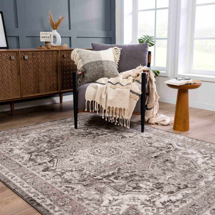 Albie Charcoal & Beige Area Rug - Clearance Rugs TriadCommerceInc