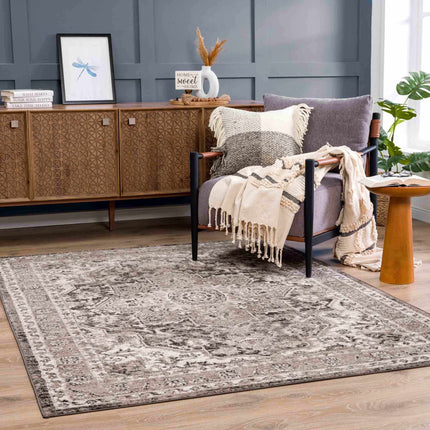 Albie Charcoal & Beige Area Rug - Clearance Rugs TriadCommerceInc