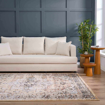 Albie Gold & Beige Area Rug - Clearance Rugs TriadCommerceInc