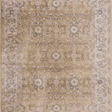 Anana Gold & Beige Area Rug - Clearance Rugs TriadCommerceInc 2' x 3' Rectangle