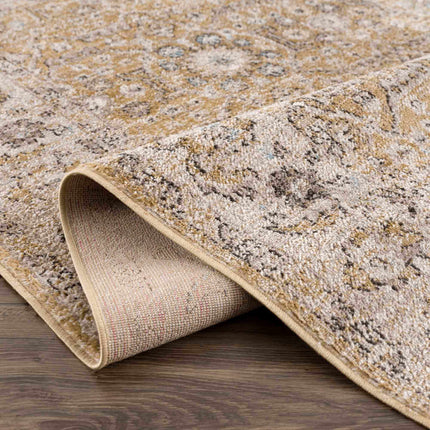 Anana Gold & Beige Area Rug - Clearance Rugs TriadCommerceInc