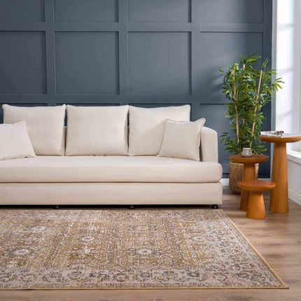 Anana Gold & Beige Area Rug - Clearance Rugs TriadCommerceInc