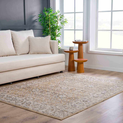 Anana Gold & Beige Area Rug - Clearance Rugs TriadCommerceInc