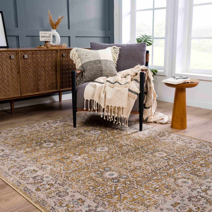 Anana Gold & Beige Area Rug - Clearance Rugs TriadCommerceInc