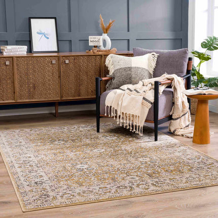 Anana Gold & Beige Area Rug - Clearance Rugs TriadCommerceInc