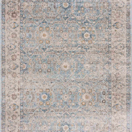 Anana Silver Blue & Beige Area Rug - Clearance Rugs TriadCommerceInc 2' x 3' Rectangle