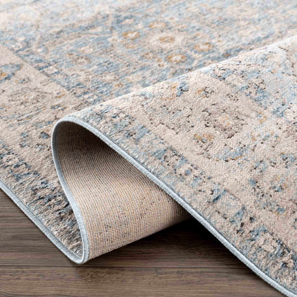 Anana Silver Blue & Beige Area Rug - Clearance Rugs TriadCommerceInc